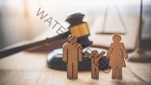 Inside the Courtroom: Navigating a Family Law Status Hearing
